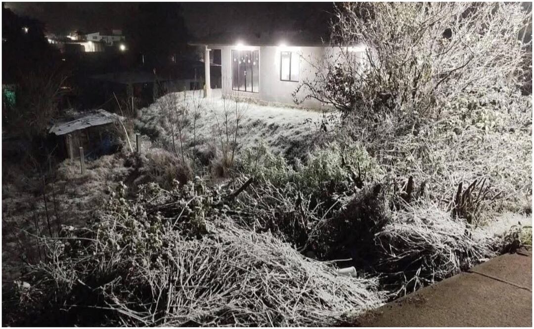 Ante la caída de nieve y agua nieve, las autoridades exhortan a la población a extremar precauciones, especialmente si planean desplazarse por carretera (21/01/2025). Foto: Especial