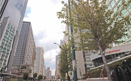 Mexico reaches lowest unemployment rate in 11 years