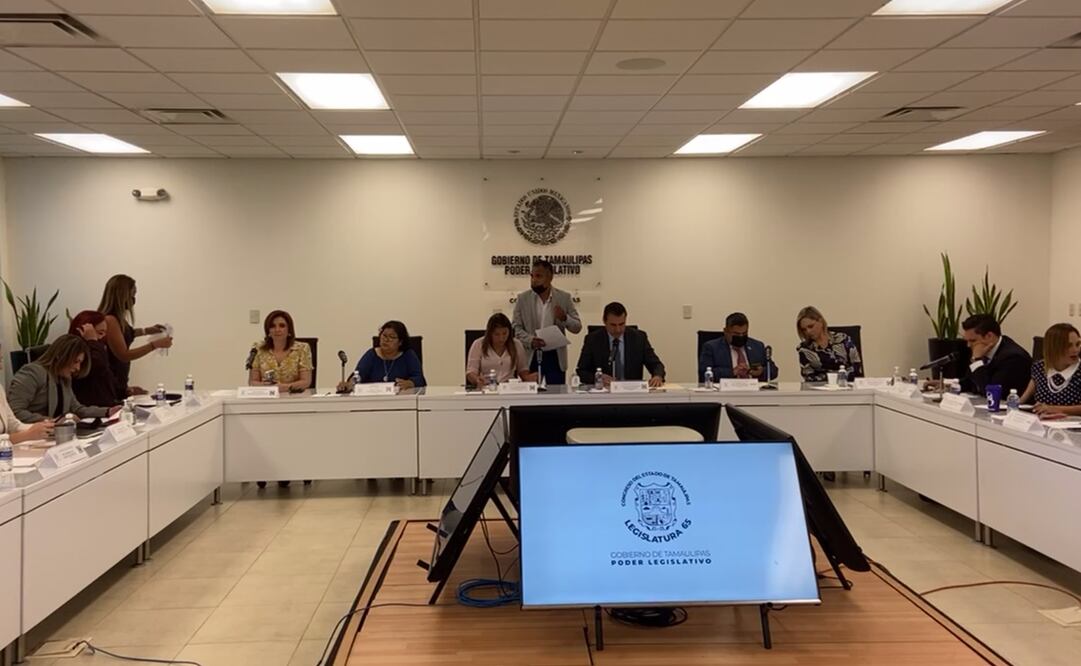 Reunión de Comisiones Unidas de Derechos Humanos, Igualdad de Género y Estudios Legislativos. Foto: captura de pantalla