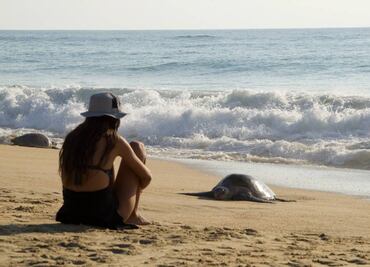 Temporada de tortugas marinas: lánzate al paraíso de Punta Ixtal
