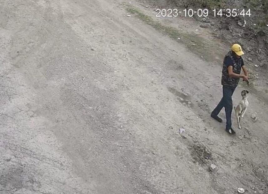 Hombre mata a su perro. FOTO: Especial/ EL UNIVERSAL/