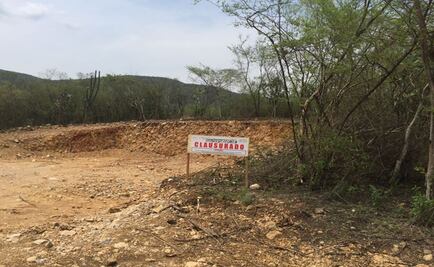 Profepa clausura predio en Querétaro por afectación a la vegetación forestal