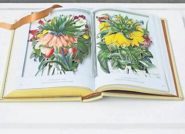 Exhibe Jill Magid piezas sobre la fragilidad humana