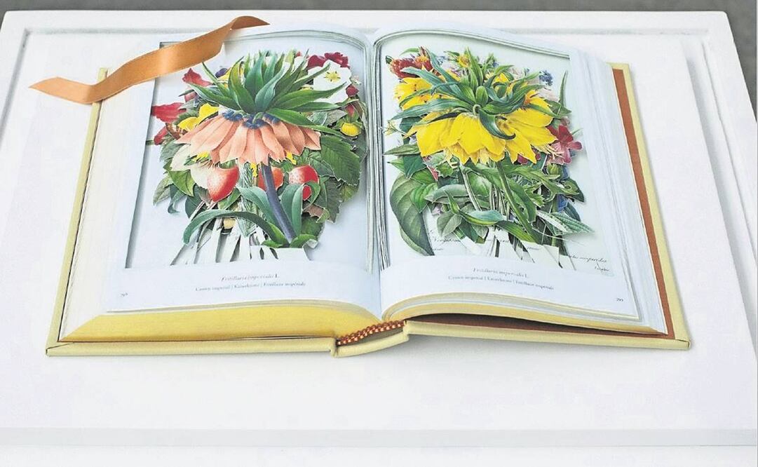 “Lily” (2022) forma parte de la exposición Labor Days, en la galería LABOR, en la Ciudad de México.