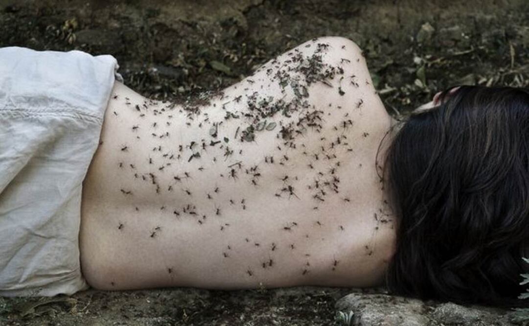 Las diversas interpretaciones de la realidad en la fotografía mexicana se complementan, enriquecen o chocan radicalmente. (FOTO: Karina Juárez. "Hormiguero". 2012)