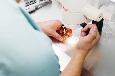 Bebés "in vitro", opción para mujeres con cáncer 