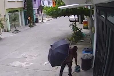 Mujer roba trastes de un perro en Veracruz
