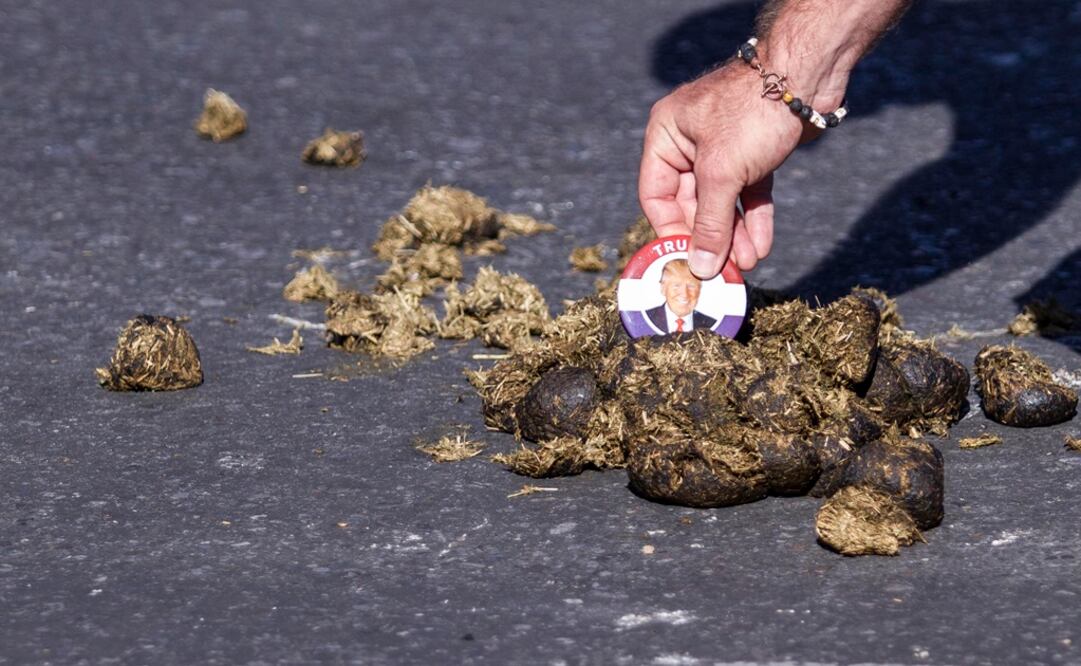 Un manifestante limpia excremento de caballo con un botón con la imagen de Domald Trump a las afueras de un mitin del aspirante a la Casa Blanca (Foto: Archivo/EFE) 
