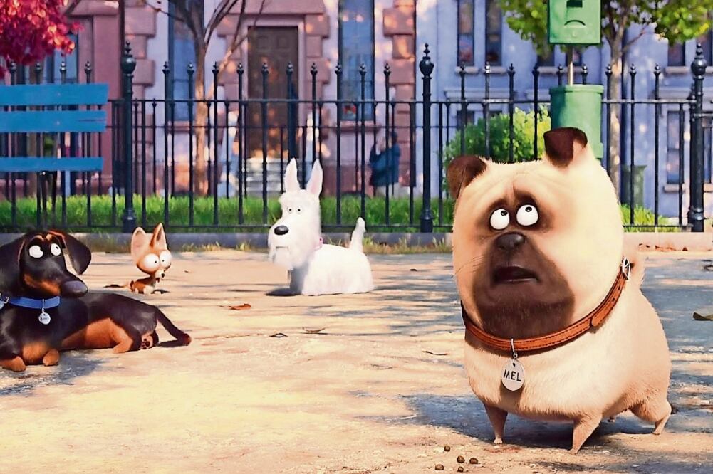 La vida secreta de tus mascotas destaca por su animación e historia (ESPECIAL)