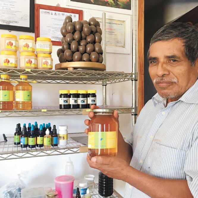 Con el saber comunitario, en 1985 Emilio comenzó la colecta de miel de los troncos. Años después, sin querer, inició con el rescate de la actividad. YURIDIANA SOSA