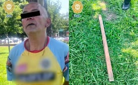 Detienen a sujeto acusado de matar a golpes a una cachorrita de dos meses en la colonia Morelos; lo ponen a disposición del MP