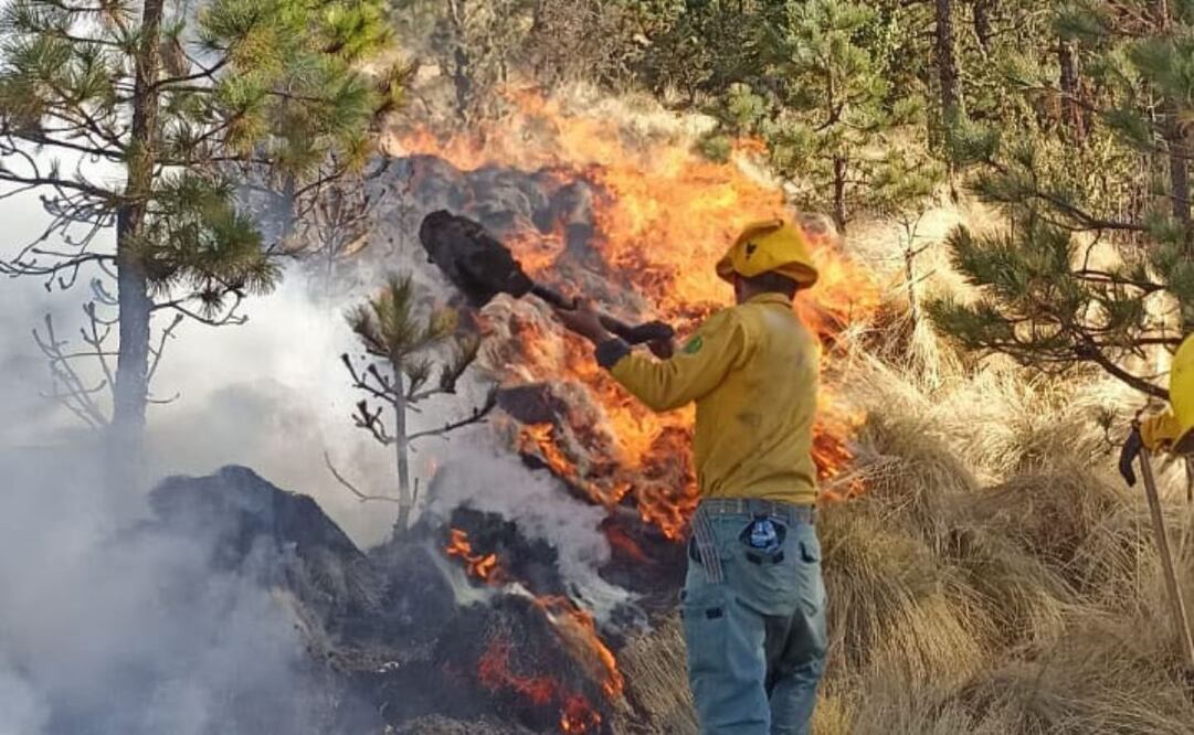 Incendio forestal en el Cerro Prieto, en el poblado de Santa María del Monte, municipio de Zinacantepec. Foto: Especial