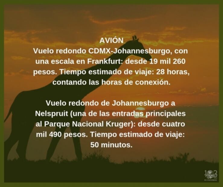 Cuánto cuesta irte de safari por Sudáfrica