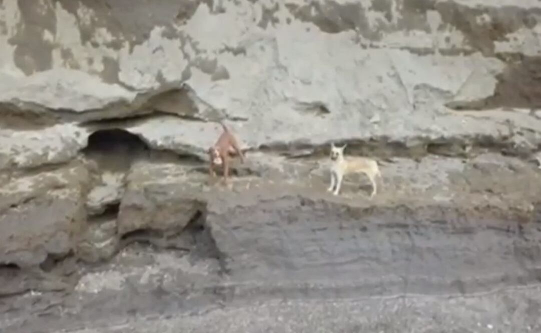 Foto: captura de pantalla