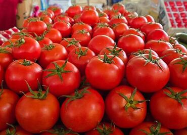 Jitomate mexicano bajo presión; EU decidirá si aplica cuota compensatoria del 17% o postergación