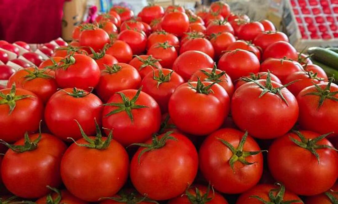 México es el octavo productor mundial de jitomate, y las exportaciones de dicha hortaliza se ubican en el sitio cinco de los agroproductos de mayor exportación del país. Foto: iStock