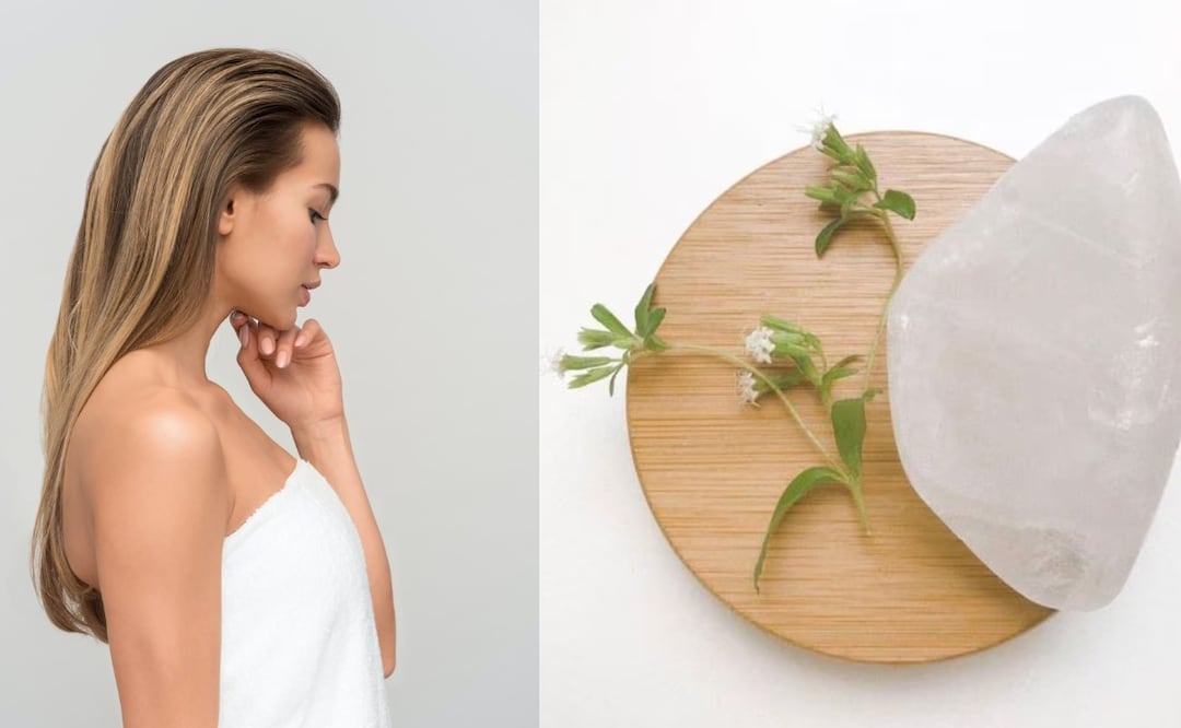 Foto: Unsplash y @mentatiendanatural