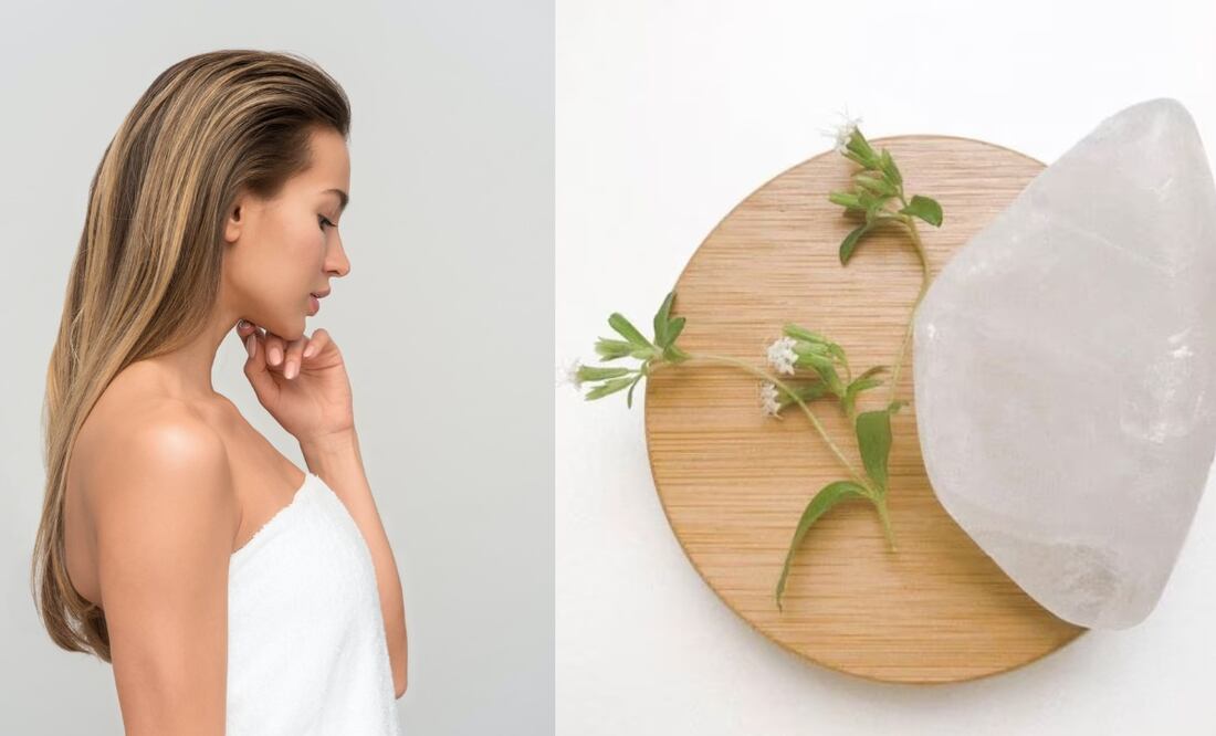 Foto: Unsplash y @mentatiendanatural