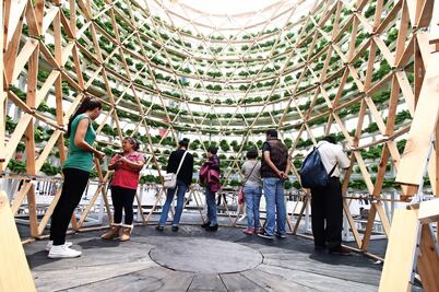 El Zócalo florece y se “pinta” de verde
