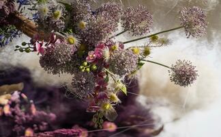 10 cosas que debes saber antes de ir al FYJA 2026 en CDMX