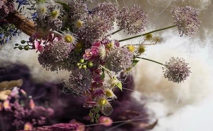 10 cosas que debes saber antes de ir al FYJA 2026 en CDMX