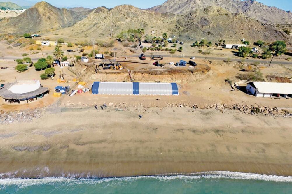 La ciencia, principal herramienta en el programa de conservación de la vaquita marina en San Felipe, Baja California Sur (CORTESÍA)