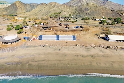 “Falta ciencia en política ambiental”