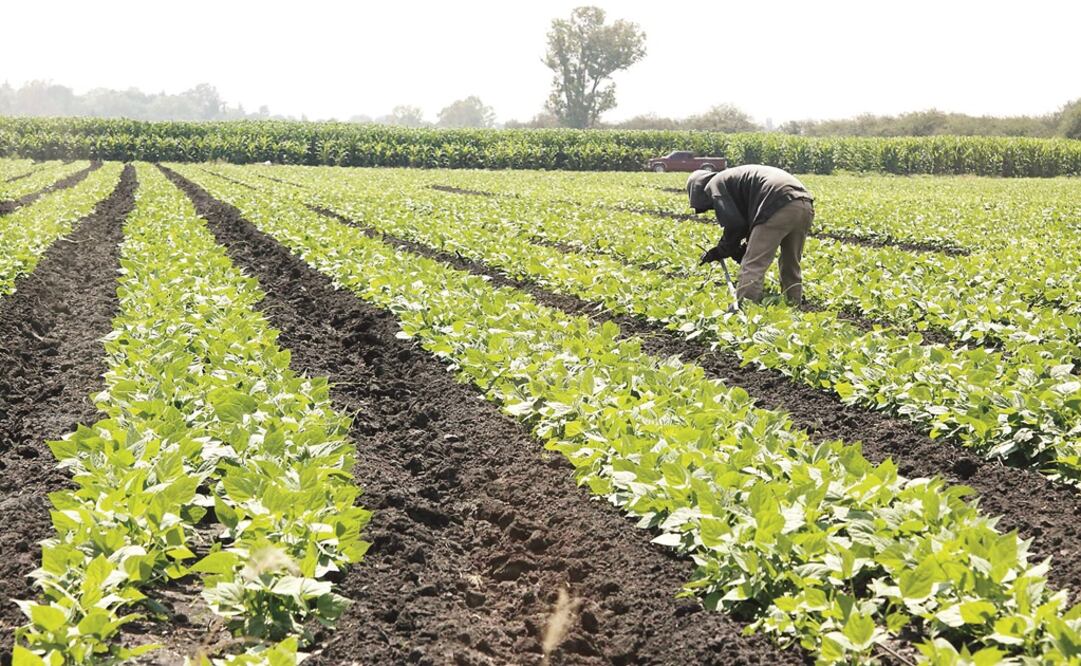 Foto: Archivo/ EL UNIVERSAL                      