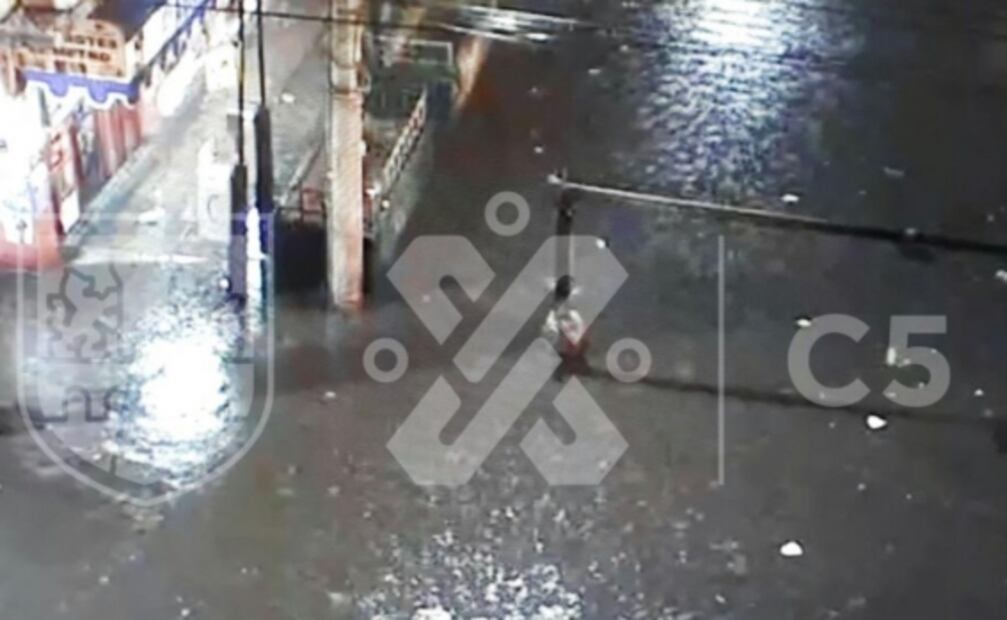 Reportan 40 encharcamientos y 9 árboles caídos por lluvias en la CDMX