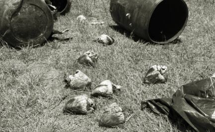 Municipio de Querétaro explica convenio con empresa ligada a choque de tráiler que llevaba 4 toneladas de gatos y perros muertos