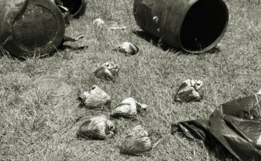 El municipio, asegura, no ha entregado recientemente más ejemplares a dicha empresa. Foto: Archivo/EL UNIVERSAL 