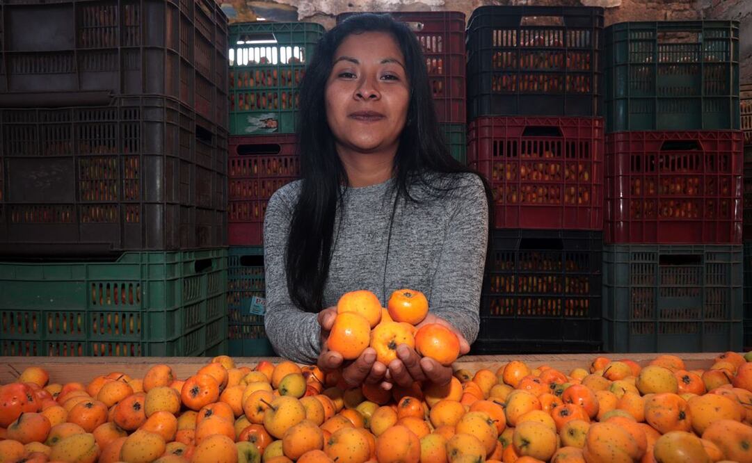 Berenice y su familia realizan a mano la recolección y separación de la fruta, pues con maquinaria se maltrataría. Foto: Omar Contreras/ EL UNIVERSAL