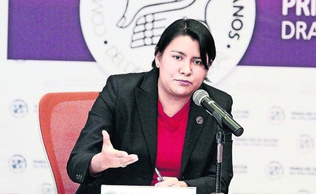 Perla Gómez Gallardo, presidenta de la Comisión de Derechos Humanos de la Ciudad de México. Foto: Archivo