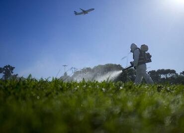 Con 8 millones de casos de dengue, la epidemia en América no tiene precedentes