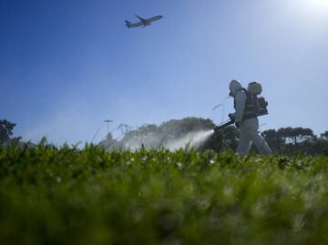 Con 8 millones de casos de dengue, la epidemia en América no tiene precedentes