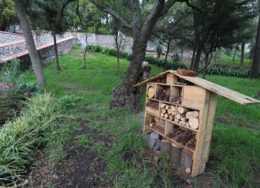 Crean los hoteles para bichos; iniciativa para preservar a los insectos en ciudades