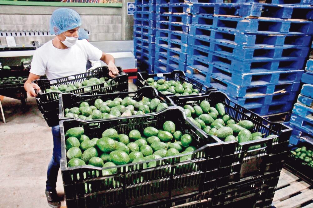 De acuerdo con la ANIERM, a Estados Unidos llega más de 80% de los bienes agrícolas e industriales que son exportados por México (ARCHIVO EL UNIVERSAL)