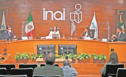 Inai y órganos locales deben garantizar el acceso y protección de datos