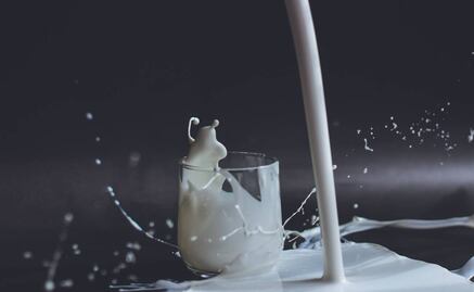 Estudio de Harvard revela si los adultos deben consumir leche