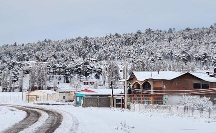 FOTOS: Nieve cubre de blanco Chihuahua; cierran tramos carreteros