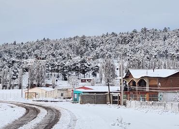 FOTOS: Nieve cubre de blanco Chihuahua; cierran tramos carreteros
