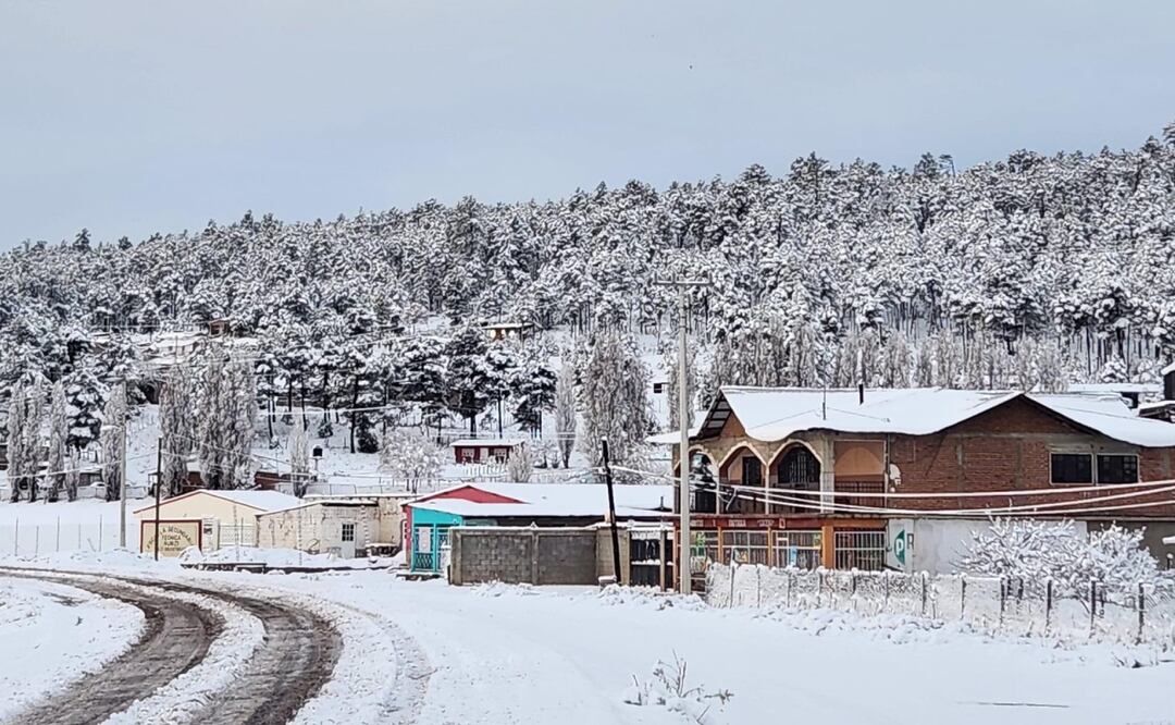 Tras la caída de nieve se mantiene el cierre en los tramos carreteros: Janos-Agua Prieta, Ignacio Zaragoza-Buenaventura y Madera -Largo Maderal Foto: Especial