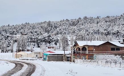 FOTOS: Nieve cubre de blanco Chihuahua; cierran tramos carreteros