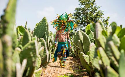 Actividades para realizar en Día de Muertos