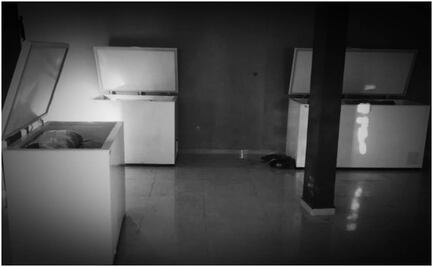 ¿A dónde fueron enviados los restos hallados en congeladores en Poza Rica? 