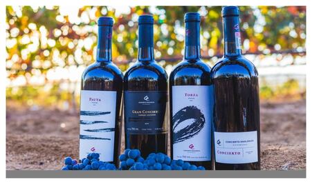 Concierto Enológico: música para millenials