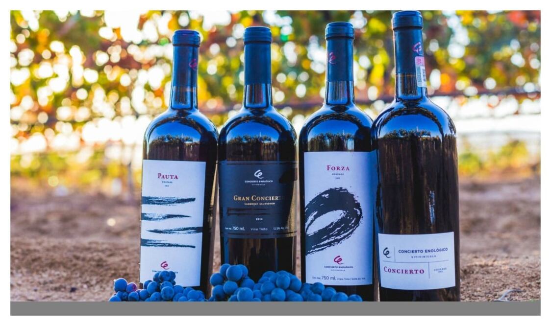 Foto: Rubén Hernández