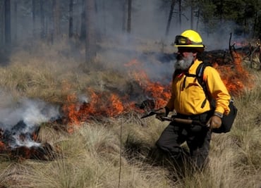 Reportan 20 incendios forestales en distintas zonas de CDMX a días de una contingencia ambiental
