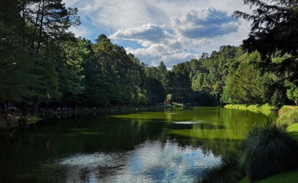 5 parques ecoturísticos cerca de CDMX