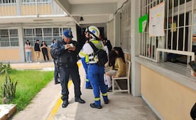 Abejas pican a 14 alumnos en secundaria de Coyoacán; bomberos y Protección Civil atienden la emergencia